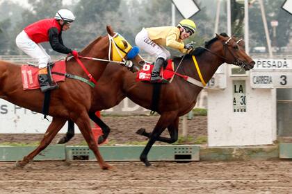 El triunfo Nº 120 en la montura de Redford Sea; Asconiga celebra tras una dura pelea con Juan Noriega desde la largada