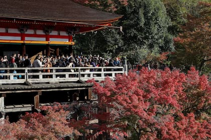 Turistas en Kioto, en noviembre pasado