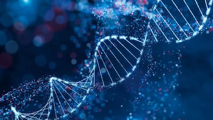 Tus genes no han cambiado. El ambiente que te rodea sí