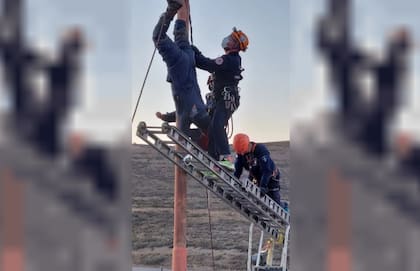 Tuvo que ser rescatado después de dos horas