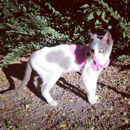 "Twiggy nunca más fue invisible, no para mí".