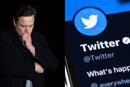 Twitter sufrió su primera caída en la era Elon Musk y estallaron los memes