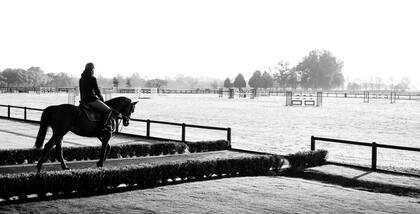 Nuevo Polo de Zona Norte: Real Estate, Deporte y Estilo de Vida Rural en Perfecta Armonía 5 Montana Farm