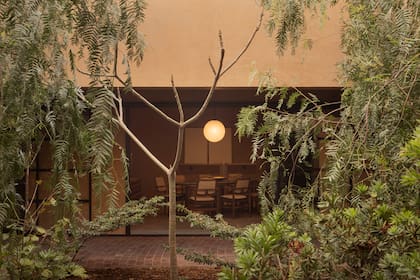 Ubicados a pocos metros del río, los árboles encuentran un contexto ideal para desarrollarse, reforzando la idea de un paisaje integrado y en sintonía con el entorno.