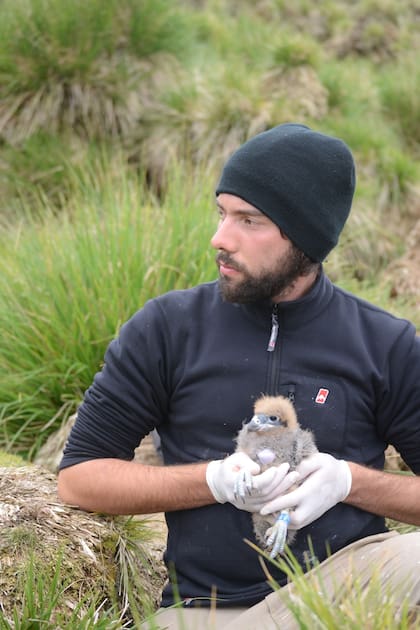 Ulises con el carancho