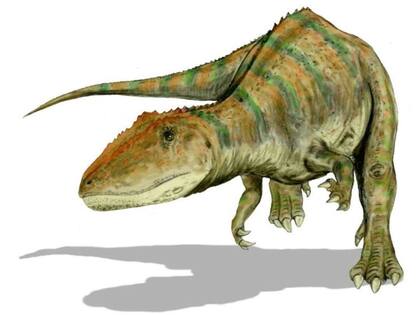 Ulughbegsaurus uzbekistanensis, fue encontrado en la Formación Bissekty del Cretácico Superior Inferior del Desierto de Kyzylkum en Uzbekistán, y por lo tanto vivió hace unos 90 millones de años