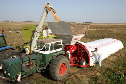 Un 43% de los consultados dijo que la situación será mejor dentro de un año, contra 46% que opinaba lo mismo en marzo de 2018
