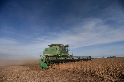 Un 66% de los productores creen que los próximos doce meses van a ser malos contra 23% en julio pasado