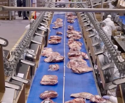 Un 80% en valor de lo que faenan se exporta, el 20% es mercado interno