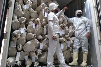 El frigorífico cordobés Los Pinitos comenzó a exportar carne caprina a Sri Lanka desde el departamento Cruz del Eje, en el norte provincial.