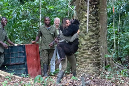 Un abrazo inolvidable
Foto: Fernando Turmo, JGI Congo