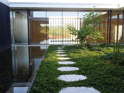 Un acceso minimalista con dos magnolias y una cubierta de Lysimachia nummularia, más algunas prunelas grandifloras y tres equisetum contenidos en maceta para generar trazos verticales.