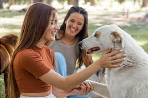 Un adiestrador explicó por qué no se le debe hablar como un niño a un animal y sus consecuencias (Foto de carácter ilustrativa: Freepik)