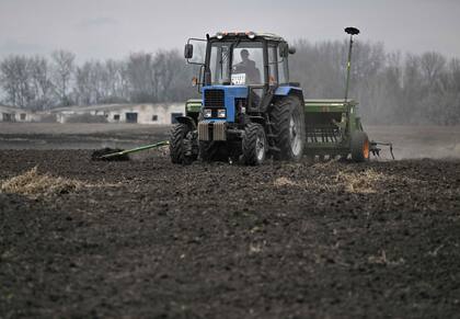 Un agricultor conduce su tractor mientras siembra avena en un campo al este de Kiev el 16 de abril de 2022. 