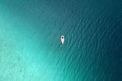 Un agua más caliente también pierde la capacidad de contener oxígeno y los científicos calculan que entre 1960 y 2010, este disminuyó un 2%