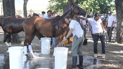 Un alivio para los caballos, factores clave del juego