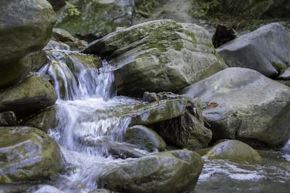 Un amor que nació en el arroyo.