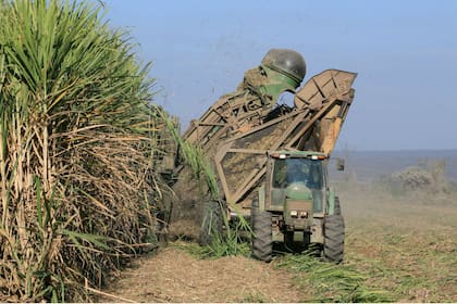 El problema de abastecimiento también alcanza al sector azucarero