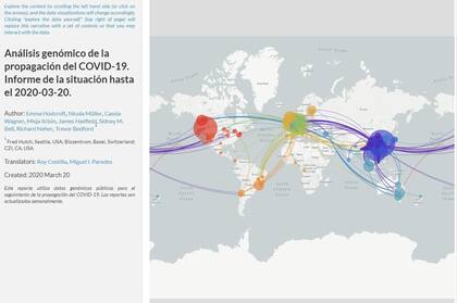 Un análisis de NextStrain sobre la distribución del coronavirus en el mundo durante 2020