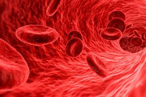 Un análisis de sangre rápido y sencillo tiene el potencial de identificar si uno o varios órganos de nuestro cuerpo está envejeciendo más rápido de lo esperado