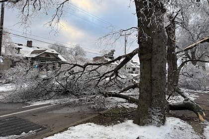 Un árbol bloquea un camino días después del paso de una tormenta de hielo en Nashville, Tennessee, el martes 27 de enero de 2026