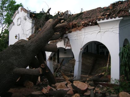 Un árbol cayó sobre la galería en el año 2005.