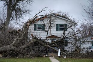 Un árbol derrumbado sobre una casa en Belvidere, Illinois