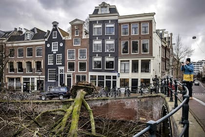 Un árbol se cayó sobre un canal en la ciudad de Ámsterdam