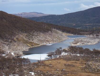 Un área de Bosque Andino Patagónico afectada por la presencia del castor americano en Tierra del Fuego. Foto de Christopher B. Anderson