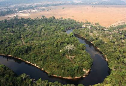 Un área deforestada en el estado de Pará, uno de los estados brasileños más afectados por el desmonte ilegal