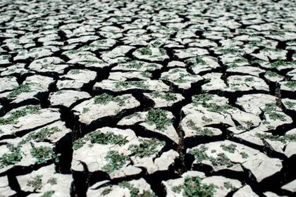 Un área del lago Peñuelas en la región de Valparaíso en enero de 2020