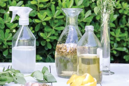 Un aromatizante natural en spray se puede hacer rápido con pocos ingredientes