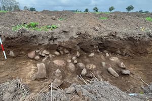 Un arqueólogo descubrió una tumba de 4000 años de antigüedad en Dinamarca