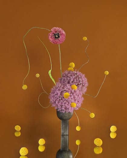 Un arreglo de Hattie Molloy.