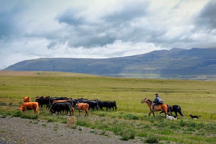 Un arriero en los alrededores de la ciudad