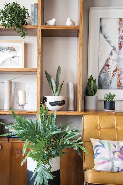 Un aspecto clave es que las macetas sean livianas, fáciles de mover si fuera necesario. Se pueden intercalar entre objetos decorativos y libros. Aquí se usaron especies de Chamadorea elegans, filodendro y monstera. Al lado del sillón, un Phlebodium aureum.