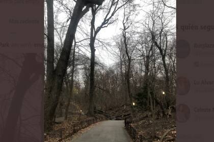 Un atarcedecer desértico.