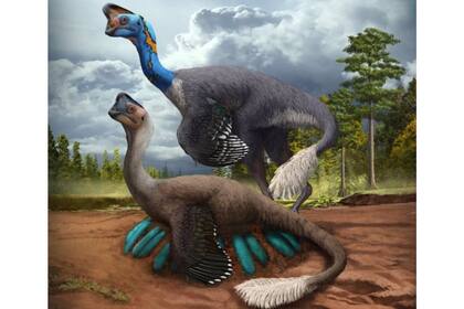 Un atento dinosaurio terópodo ovirraptórido incuba su nido de huevos azul verdosos mientras su compañero observa en lo que hoy es la provincia de Jiangxi, en el sur de China, hace unos 70 millones de años