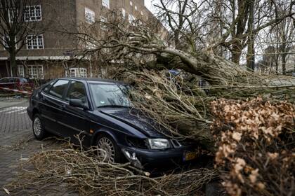 Un auto aplastado por la tormenta en Amsterdam