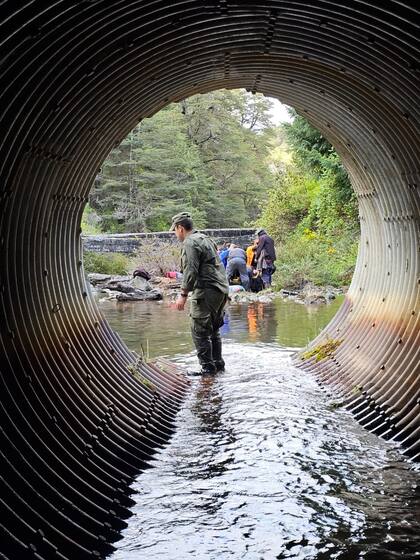 Se trabajaron varias horas para remover el auto del espejo de agua