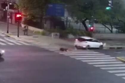 Un automóvil embistió a una ciclista sin casco que cruzó un semáforo en rojo en Madero y Corrientes