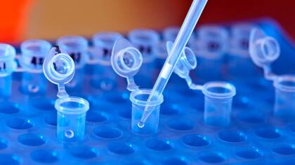 Un avance que requiere un debate social amplio