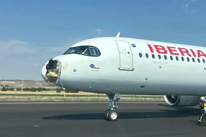 Un avión de Iberia aterrizó de emergencia en Madrid tras impactar de frente con un ave.