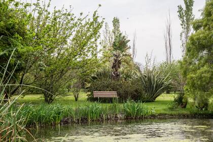 Un banco especialmente ubicado para disfrutar del verde y el agua y su lento fluir.