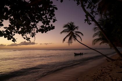 Un barco navega al atardecer por la orilla en una playa de la isla de Tobago, en Trinidad y Tobago, el 23 de enero de 2022. (AP Foto/Felipe Dana)