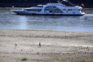 La grave sequía golpea a uno de los mayores ríos de Europa, del que depende la economía de Alemania