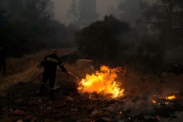 Un bombero apaga un incendio forestal en el área de Vilia a unos 60 kilómetros al noroeste de Atenas, en Grecia, el miércoles 18 de agosto. Un gran incendio forestal al noroeste de la capital griega devoró grandes extensiones de bosque de pinos