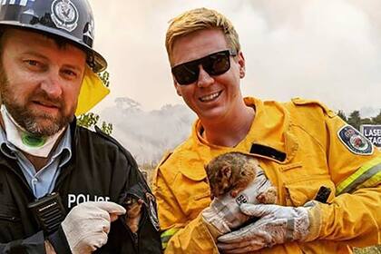 Un bombero muestra a una zarigüeya rescatada del incendio