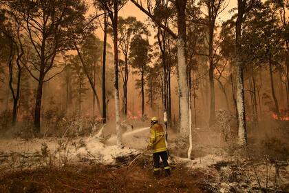 Un bombero rocía espuma ignífuga en un área delante de un frente de incendios en la ciudad de Jerrawangala, Nueva Gales del Sur, el 1 de enero.
