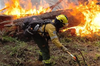 Neuquén sufre el incendio forestal más grande que se haya registrado